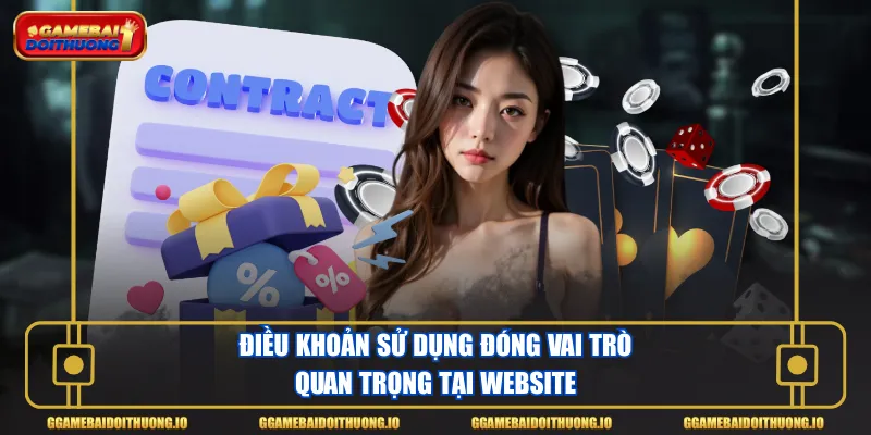Điều khoản sử dụng đóng vai trò quan trọng tại website